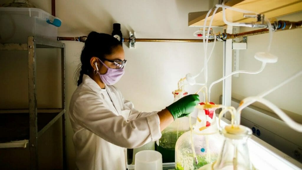 female researcher working in a lab